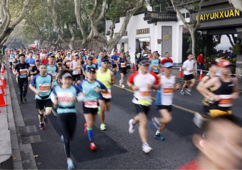 2019年上海马拉松经济效益14.7亿元,你贡献了多少