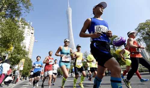 今日热讯 北京冬奥会主新闻中心和国际广播中心合并 2019中国马拉松等级赛事及特色赛事评定结果出炉