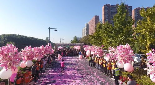 玫琳凯2018杭州国际女子马拉松粉红开跑