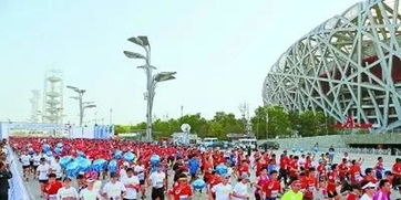 有人说不训练也能跑完半马,我翻了个白眼并甩给了他本文链接