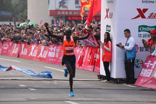 不仅是跑，跑时我在想 | 杭州国际马拉松的哲思之旅