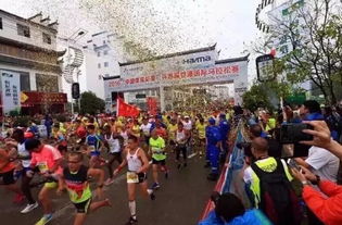 绿色饮品与公益同行 椰泰椰汁助力2016江西婺源及杭州国际马拉松大赛
