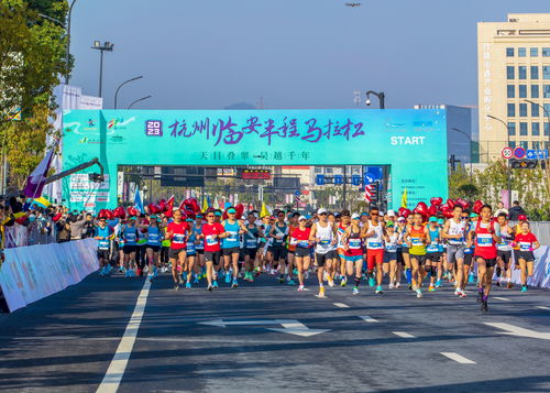 跑在春天里 临马剪影下的杭州国际马拉松