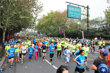 最美赛道上的奔跑风景 记2014杭州国际马拉松